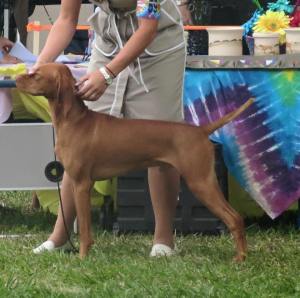 11107178_10153365784394844_7084024915259574897_n