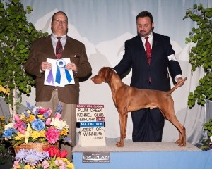 1424566_10204753130412851_4432088700441059289_n